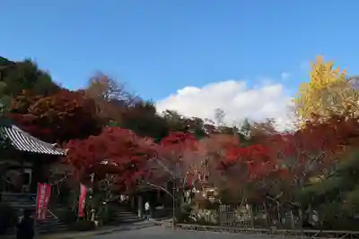 二尊院(京都府)