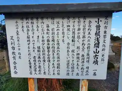 浅間神社（小曽根浅間山古墳）(栃木県)