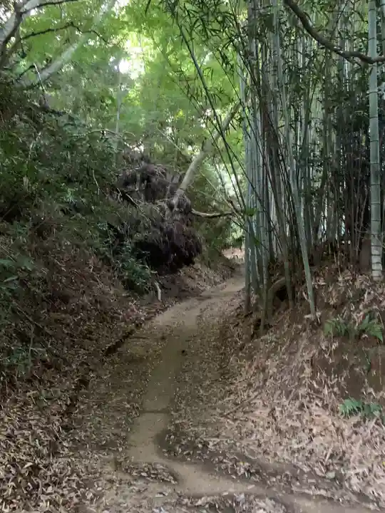 熊野神社の周辺
