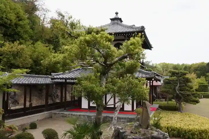 達磨堂 円福寺 (京都府)