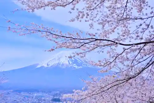 新倉富士浅間神社(山梨県)
