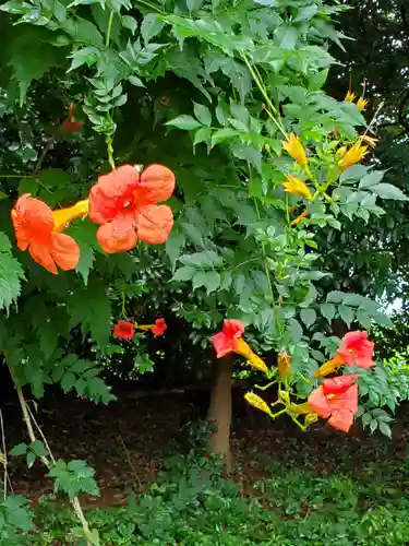 沙沙貴神社(滋賀県)
