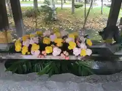 彌彦神社　(伊夜日子神社)の手水