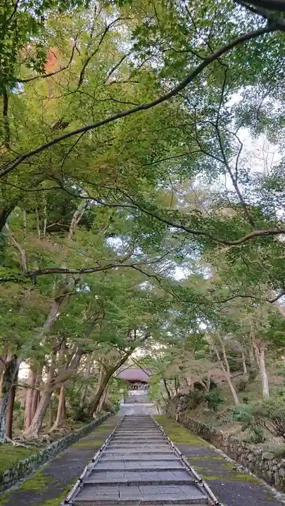 毘沙門堂門跡(京都府)