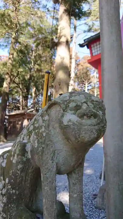 間々田八幡宮の狛犬