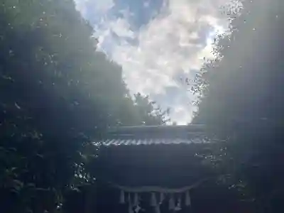 篠塚稲荷神社(栃木県)