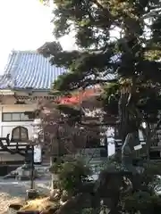 行善寺(東京都)