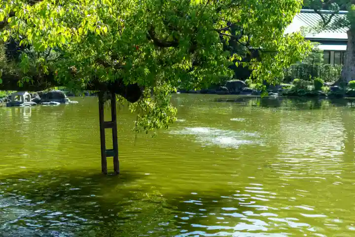 宗像大社(福岡県)