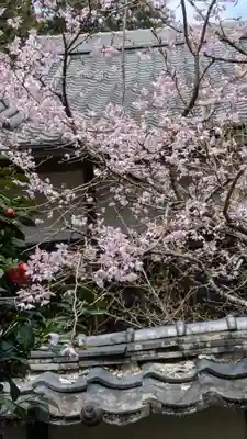 十輪寺(京都府)