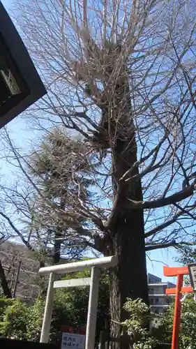 朝日氷川神社(埼玉県)