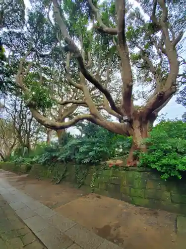 酒列磯前神社の自然