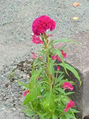 一乗寺(兵庫県)