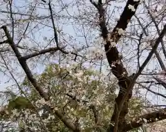 三光神社(大阪府)