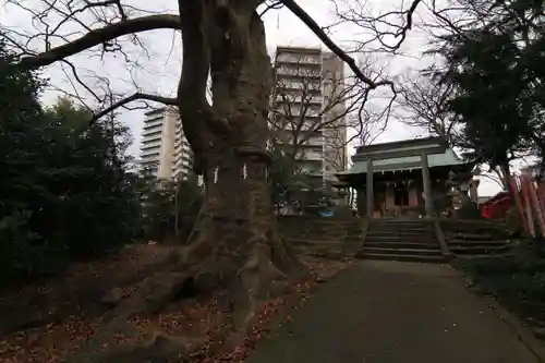 愛宕神社の本殿・本堂