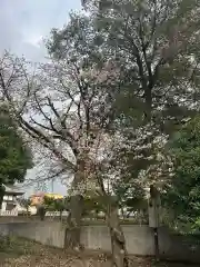 簳幹八幡宮(東京都)