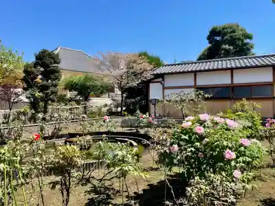 禅定院の{uncategorized: "未分類", other: "その他", undefined: "問題あり", building: "その他建物", grave: "お墓", sacred_gate: "鳥居", guardian: "狛犬", statue: "像", buddha: "仏像", history: "歴史", nature: "自然", garden: "庭園", animal: "動物", pagoda: "塔", temizu: "手水舎", mountain_gate: "山門・神門", sanctuary: "本殿・本堂", subordinate: "末社・摂社", art: "芸術", scenery: "景色", jizo: "地蔵", ema: "絵馬", goshuin: "御朱印", omikuji: "おみくじ", items: "授与品その他", amulet: "お守り", goshuincho: "御朱印帳", eats: "食事", festival: "お祭り", votive_dance: "神楽", shichigosan: "七五三参", wedding: "結婚式", experience: "体験その他", initially: "初詣", around: "周辺", anti_infection: "感染症対策"}