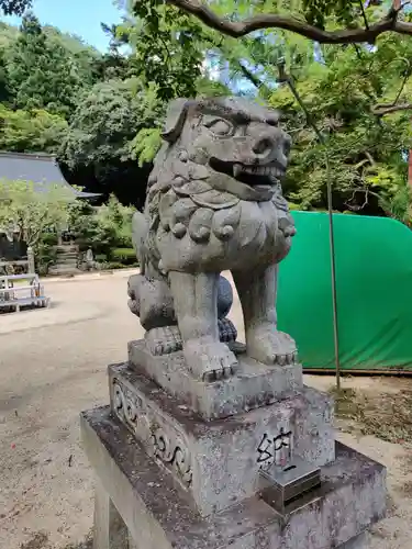 大窪寺の狛犬