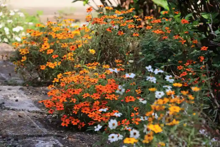 豊景神社の庭園