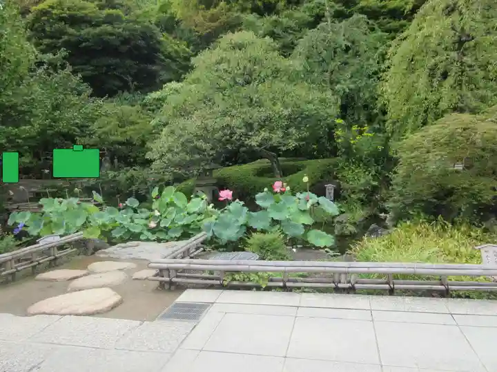 長谷寺(神奈川県)