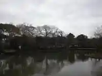 鶴岡八幡宮の庭園