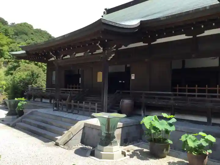 建長寺の本殿・本堂
