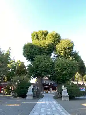 亀ケ池八幡宮のその他建物