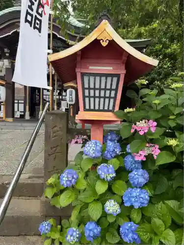 川越八幡宮(埼玉県)
