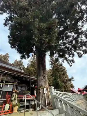 鼬幣稲荷神社(岩手県)