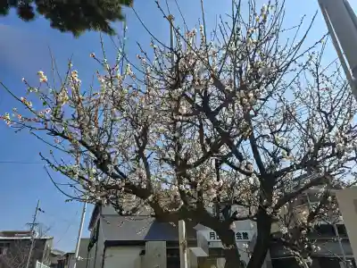天神社の{uncategorized: "未分類", other: "その他", undefined: "問題あり", building: "その他建物", grave: "お墓", sacred_gate: "鳥居", guardian: "狛犬", statue: "像", buddha: "仏像", history: "歴史", nature: "自然", garden: "庭園", animal: "動物", pagoda: "塔", temizu: "手水舎", mountain_gate: "山門・神門", sanctuary: "本殿・本堂", subordinate: "末社・摂社", art: "芸術", scenery: "景色", jizo: "地蔵", ema: "絵馬", goshuin: "御朱印", omikuji: "おみくじ", items: "授与品その他", amulet: "お守り", goshuincho: "御朱印帳", eats: "食事", festival: "お祭り", votive_dance: "神楽", shichigosan: "七五三参", wedding: "結婚式", experience: "体験その他", initially: "初詣", around: "周辺", anti_infection: "感染症対策"}