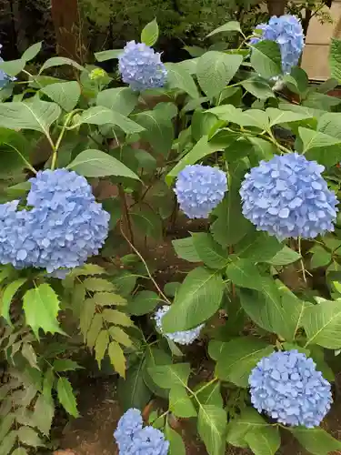 小野照崎神社(東京都)