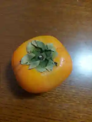 刺田比古神社(和歌山県)