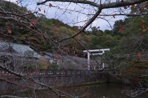 安房神社(千葉県)