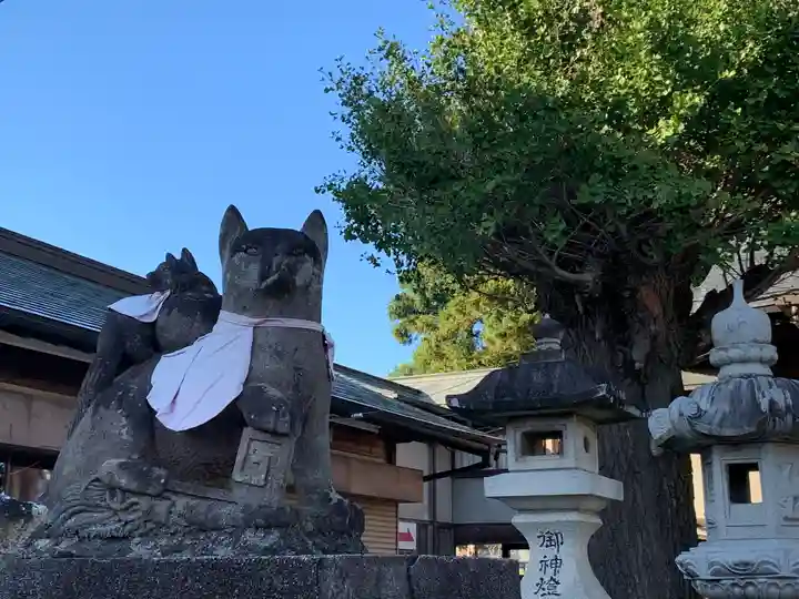 小泉稲荷神社の狛犬