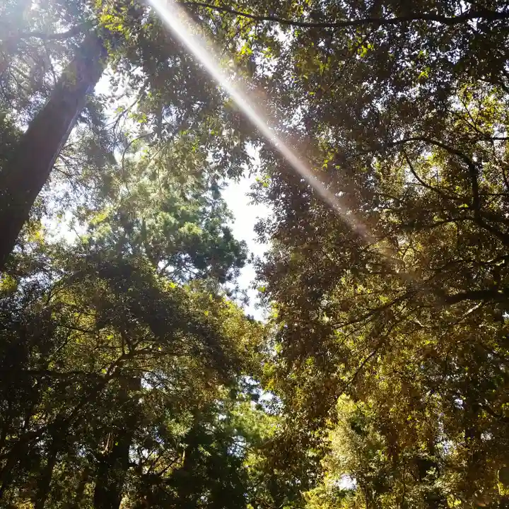 鹿島神宮の自然