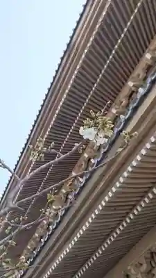 光明寺のその他建物
