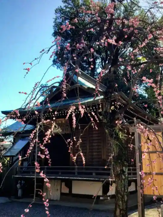 布多天神社(東京都)