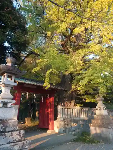一之宮貫前神社(群馬県)
