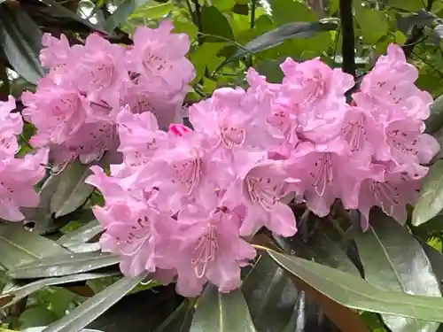 成相寺(京都府)