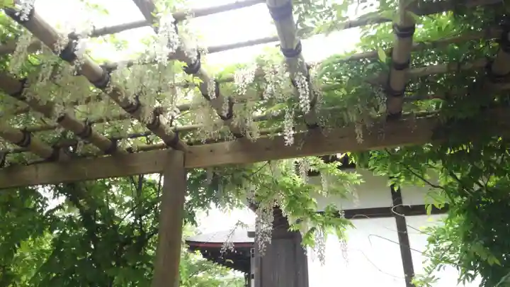 天龍寺(京都府)