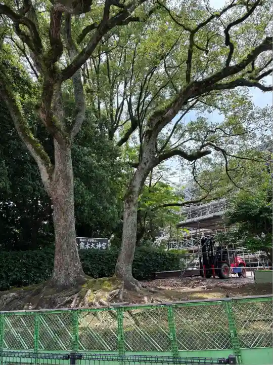熊本大神宮(熊本県)