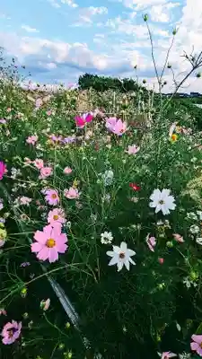 乳清水神社の自然