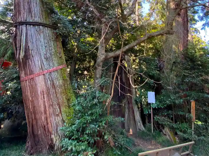香取神宮の自然