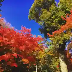 天龍寺(京都府)