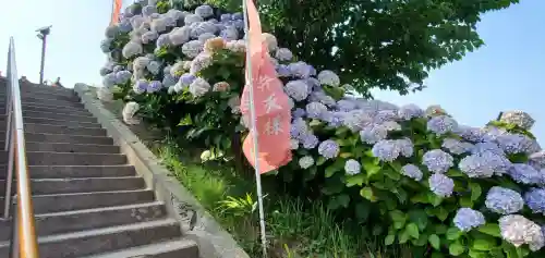 富主姫神社(宮城県)