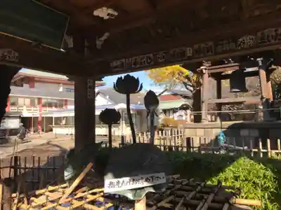 新井薬師（梅照院）(東京都)