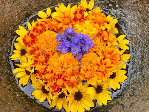 真言宗　善通寺派　薬王寺(香川県)