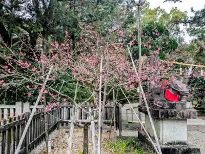 潮江天満宮の{uncategorized: "未分類", other: "その他", undefined: "問題あり", building: "その他建物", grave: "お墓", sacred_gate: "鳥居", guardian: "狛犬", statue: "像", buddha: "仏像", history: "歴史", nature: "自然", garden: "庭園", animal: "動物", pagoda: "塔", temizu: "手水舎", mountain_gate: "山門・神門", sanctuary: "本殿・本堂", subordinate: "末社・摂社", art: "芸術", scenery: "景色", jizo: "地蔵", ema: "絵馬", goshuin: "御朱印", omikuji: "おみくじ", items: "授与品その他", amulet: "お守り", goshuincho: "御朱印帳", eats: "食事", festival: "お祭り", votive_dance: "神楽", shichigosan: "七五三参", wedding: "結婚式", experience: "体験その他", initially: "初詣", around: "周辺", anti_infection: "感染症対策"}