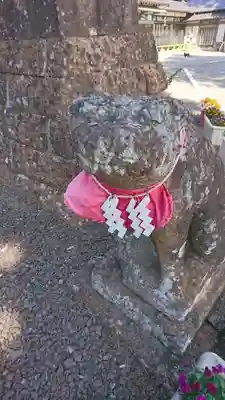 熊野那智神社の狛犬