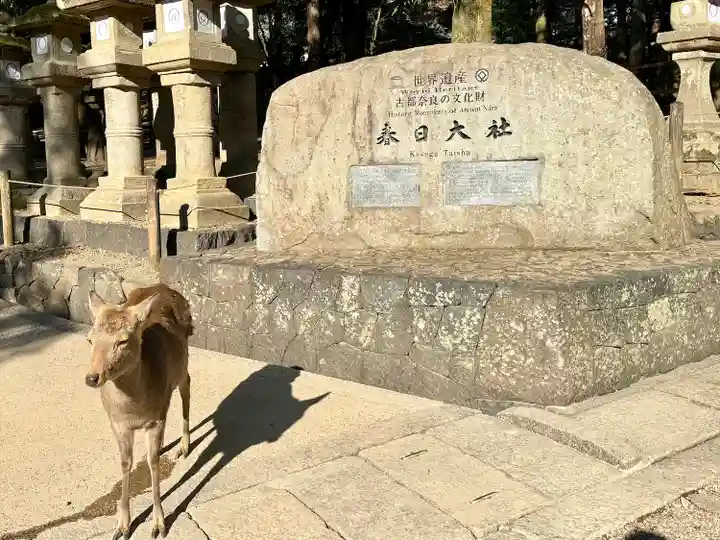 春日大社(奈良県)