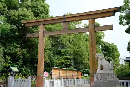 和泉國一之宮　大鳥大社の鳥居